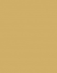 Beige AC-3489 Acoustyl Uni Colores Lisos Beige AC-3489 Acoustyl Uni Colores Lisos