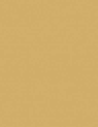 Beige AC-3489 Acoustyl Uni Colores Lisos Beige AC-3489 Acoustyl Uni Colores Lisos