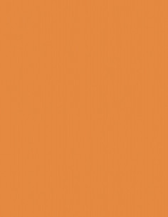 Naranja AC-3431 Acoustyl Uni Colores Lisos Naranja AC-3431 Acoustyl Uni Colores Lisos