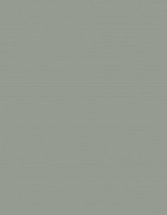Gris AC-3434 Acoustyl Uni Colores Lisos Gris AC-3434 Acoustyl Uni Colores Lisos