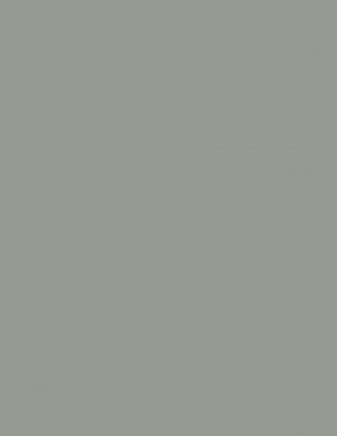 Gris AC-3434 Acoustyl Uni Colores Lisos Gris AC-3434 Acoustyl Uni Colores Lisos