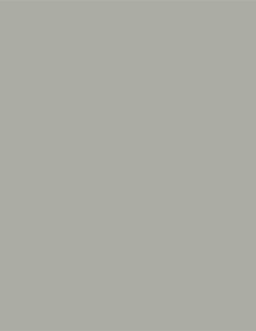 Gris Claro AC-3419 Acoustyl Uni Colores Lisos Gris Claro AC-3419 Acoustyl Uni Colores Lisos