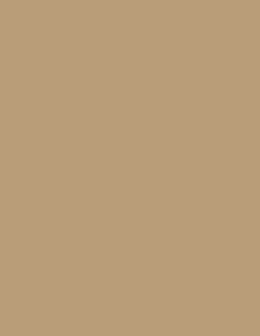 Beige RA-2010 Rainbow Beige RA-2010 Rainbow
