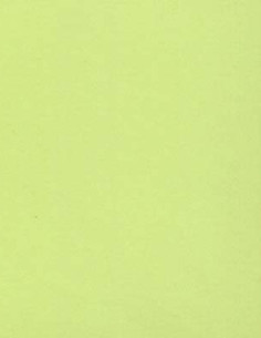 Verde Pistacho RA-7203 Rainbow Verde Pistacho RA-7203 Rainbow