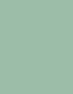 Verde Menta RA-7015 Rainbow Verde Menta RA-7015 Rainbow