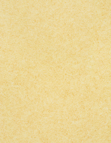 Suelo Vinílico Amarillo Fusion FU-2855 Suelo Vinílico Amarillo Fusion FU-2855