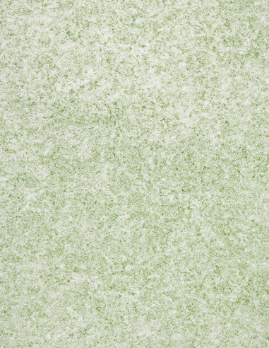 Suelo Vinílico Verde Fusion FU-2854