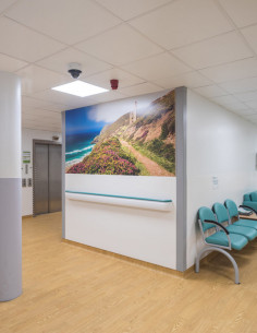 Suelo Vinílico Tarima Miel Anhidro AN-005W 2 Suelo Vinílico Tarima Miel Anhidro AN-005W 2