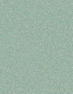 Suelo Vinílico Verde Anhidro AN-8207 Suelo Vinílico Verde Anhidro AN-8207