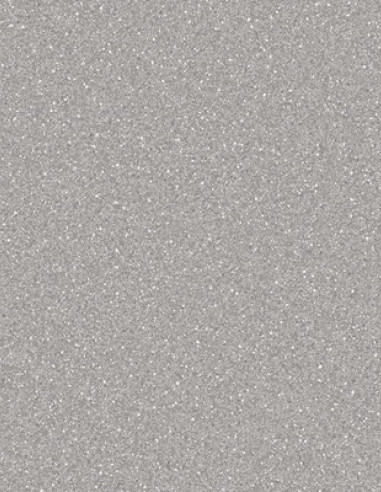Suelo Vinílico Gris Claro Anhidro AN-8203