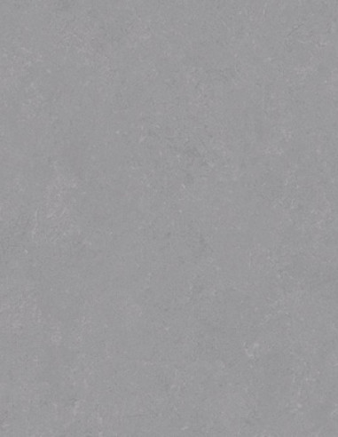 Suelo Vinílico Gris Liso Anhidro AN-2102