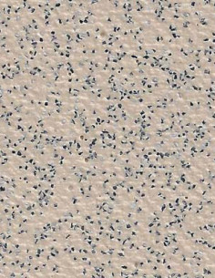 Suelo Vinílico Antideslizante Beige Mota Negra SA-4336 Suelo Vinílico Antideslizante Beige Mota Negra SA-4336