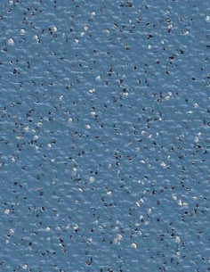 Suelo Vinílico Antideslizante Azul SA-4342 Suelo Vinílico Antideslizante Azul SA-4342