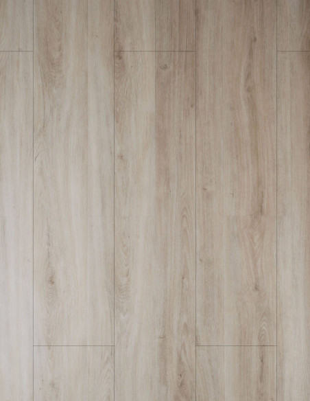 Roble Arena Dioco Regal Plus