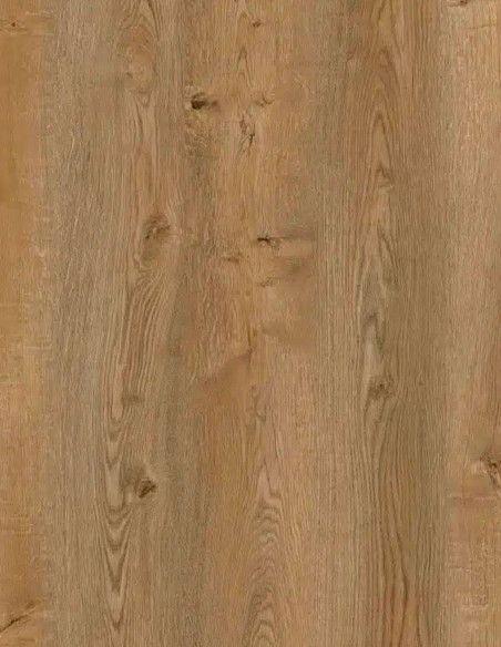 Roble Arica Dioco Regal Plus