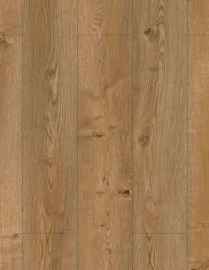 Roble Arica Dioco Regal Plus Roble Arica Dioco Regal Plus