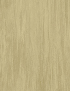 Tarkett Vylon Homogéneo Beige Straw Tarkett Vylon Homogéneo Beige Straw