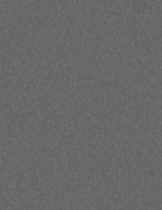 Tarkett iQ Granit Homogéneo Negro Soft Black Tarkett iQ Granit Homogéneo Negro Soft Black