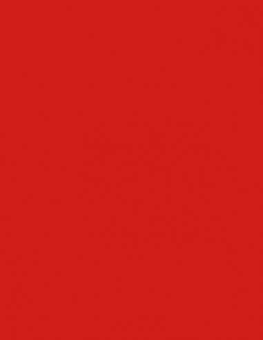 Suelo Vinílico Rojo 434M