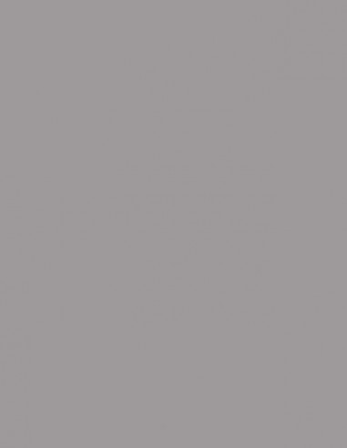 Suelo Vinílico Gris Claro 910M