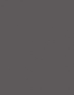 Suelo Vinílico Gris Oscuro 919D Suelo Vinílico Gris Oscuro 919D