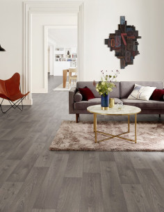 Swan Dark Grey D-5337192 2 Swan Dark Grey D-5337192 2