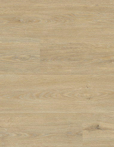 Roble Calizo SPC42002