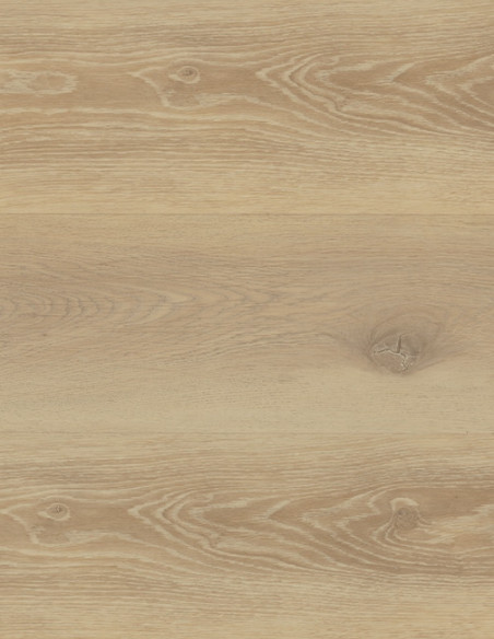 Roble Sabana SPC42004