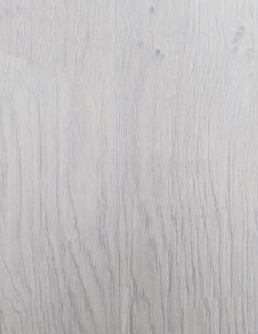 Roble Glaciar SPC42001 2