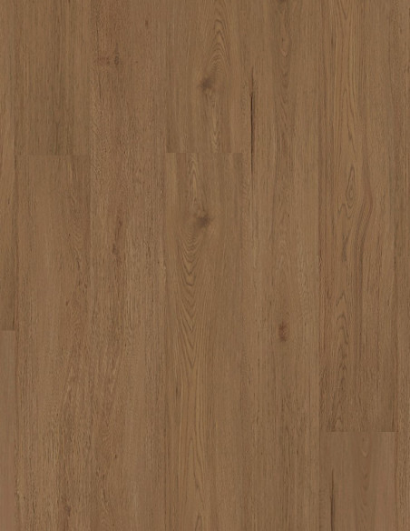 Roble Persia 4001 Tauro Serie 4000